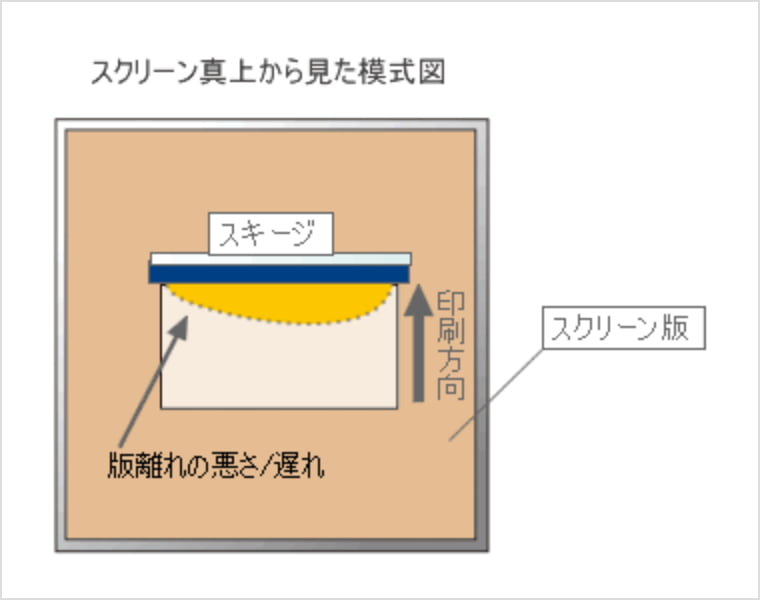 スクリーン真上から見た模式図